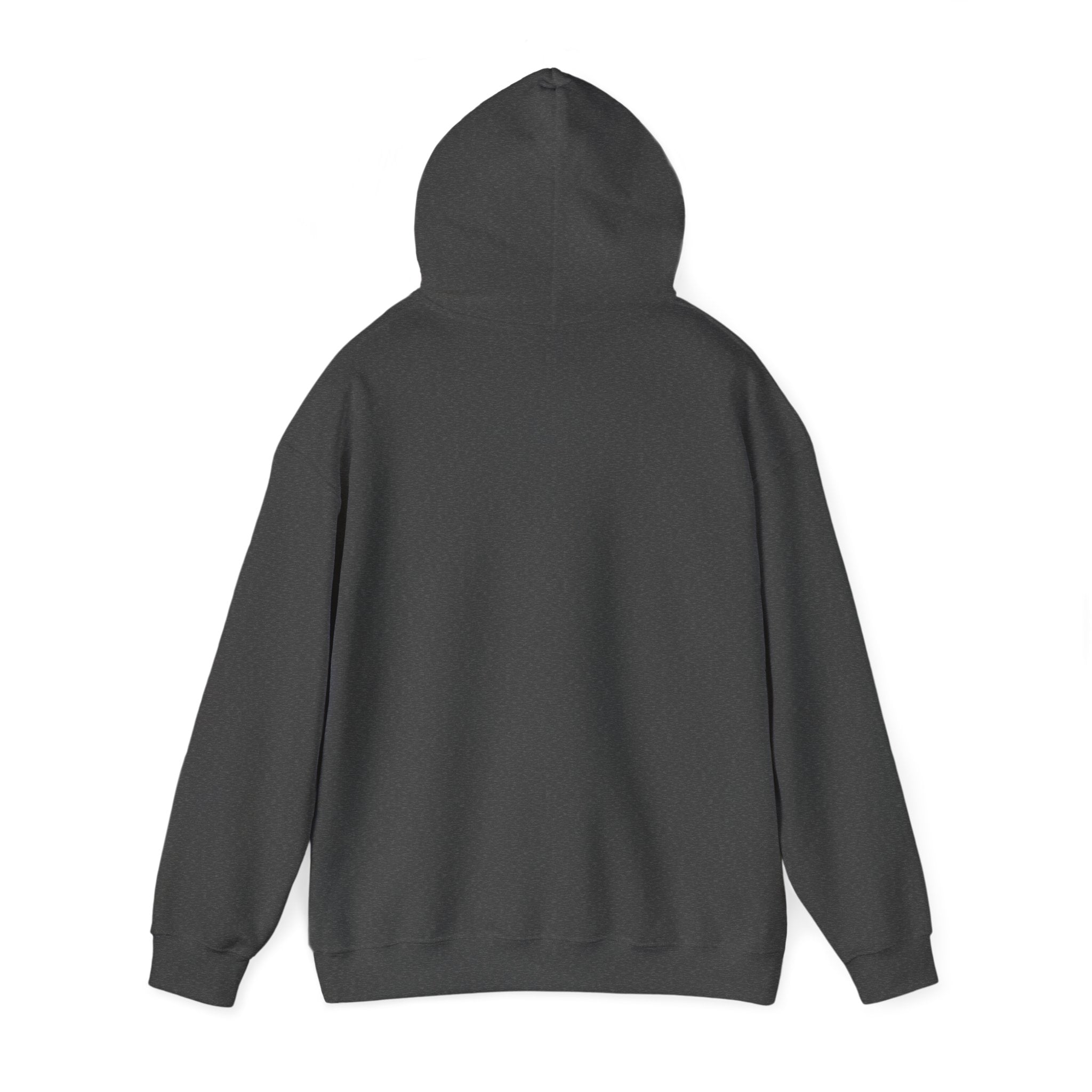 unisex-heavy-blend™-hooded-sweatshirt-1