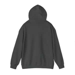 unisex-heavy-blend™-hooded-sweatshirt-1