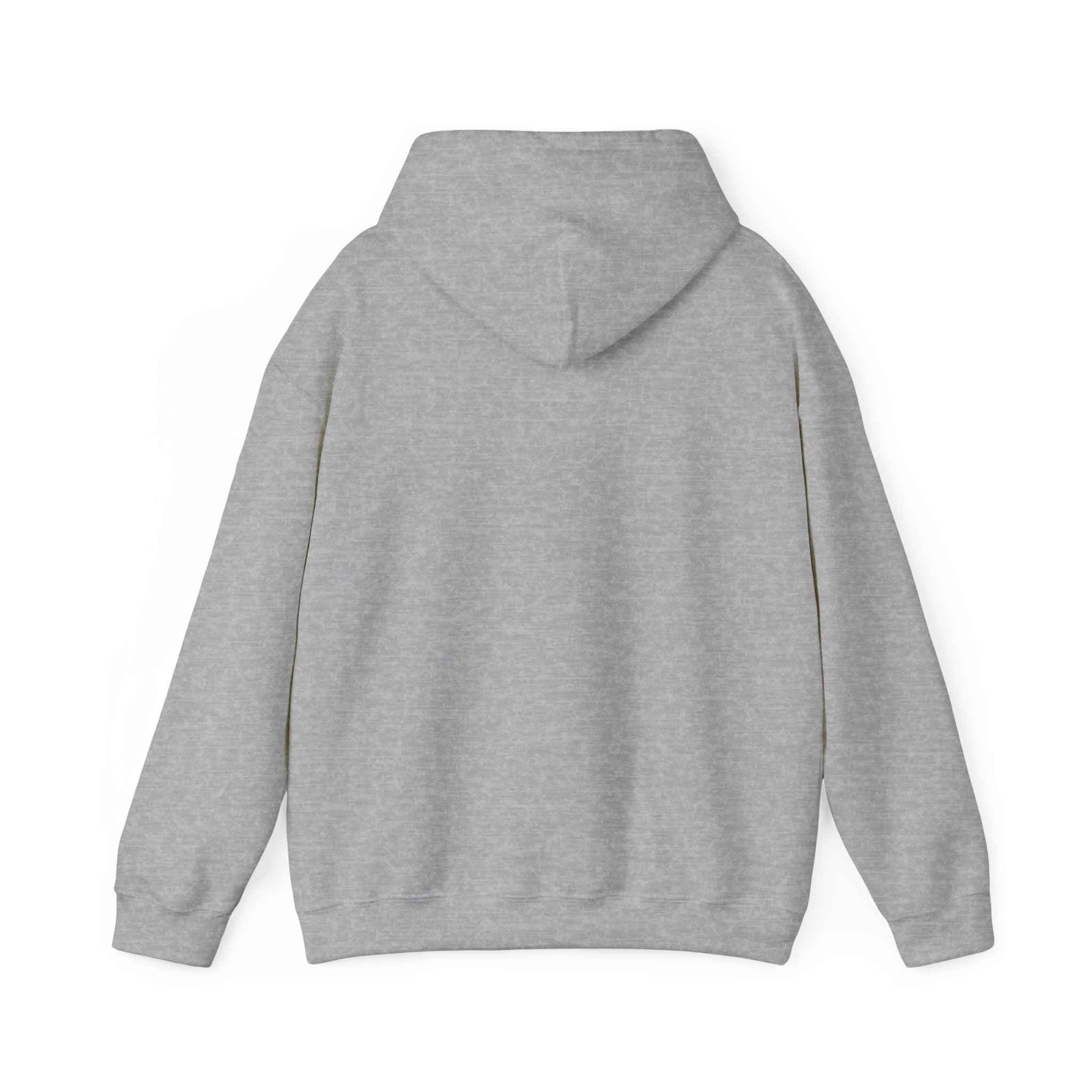 unisex-heavy-blend™-hooded-sweatshirt-1