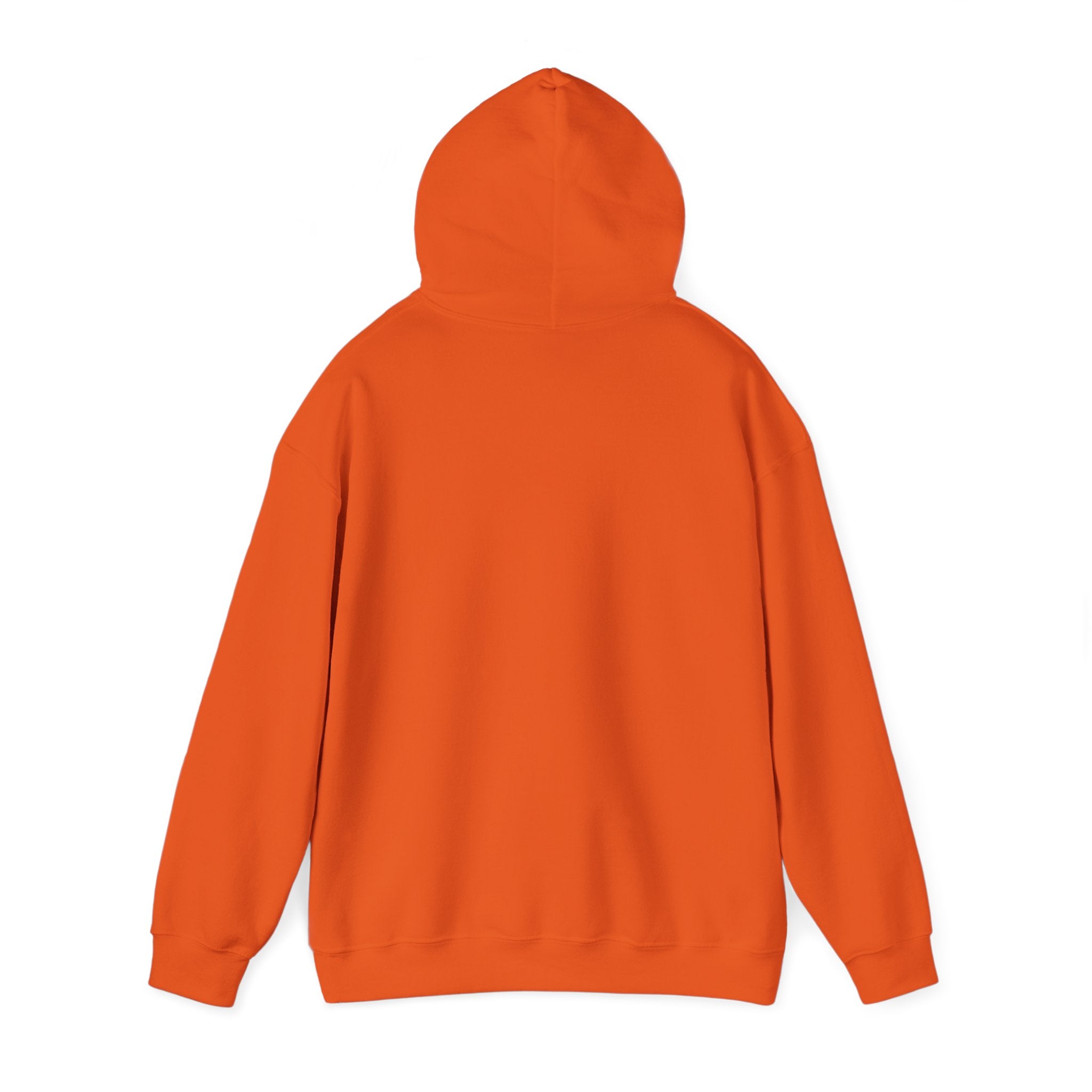 unisex-heavy-blend™-hooded-sweatshirt