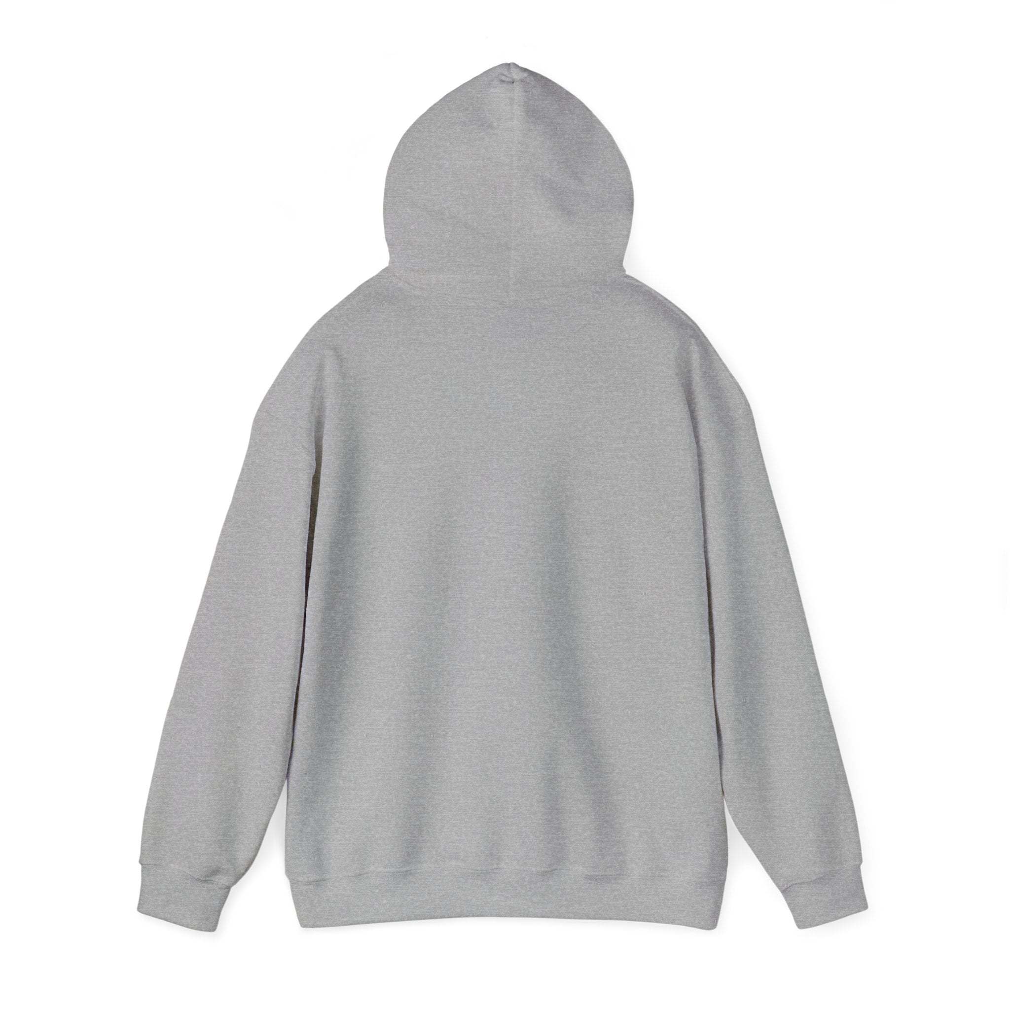 unisex-heavy-blend™-hooded-sweatshirt-1