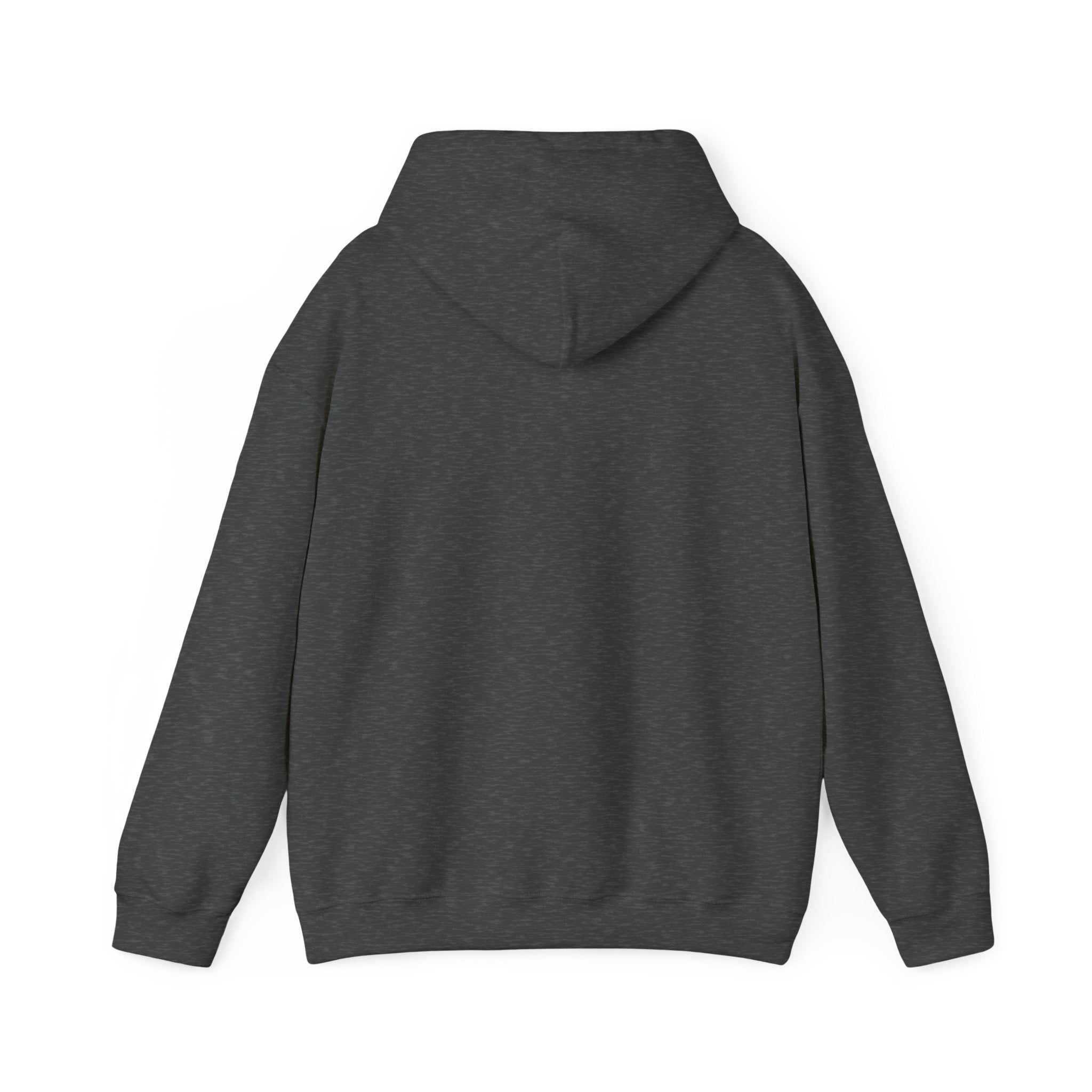 unisex-heavy-blend™-hooded-sweatshirt-1